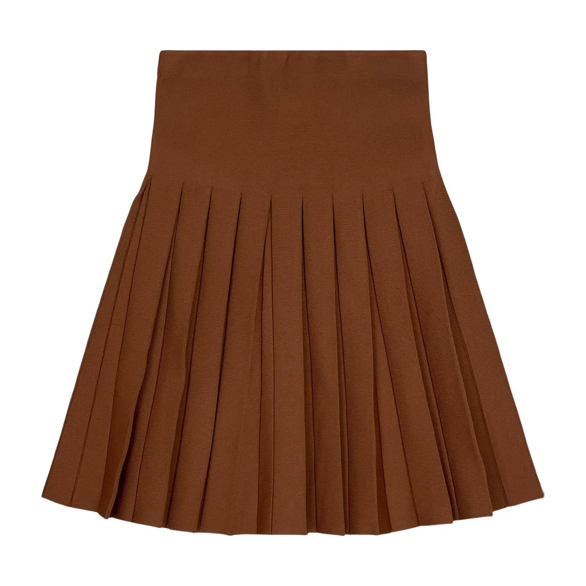 Pleated Skirt